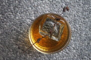 Bee Pollen by Luke Whearty found at The Pouring Tales